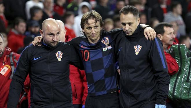 以頑強的比 以頑強的比