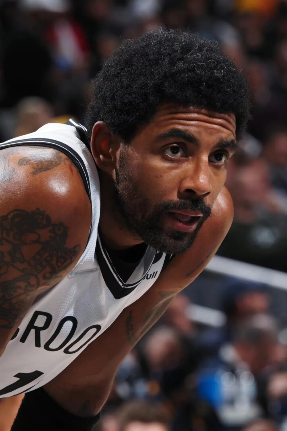 韦世豪是谁 韦世豪是谁