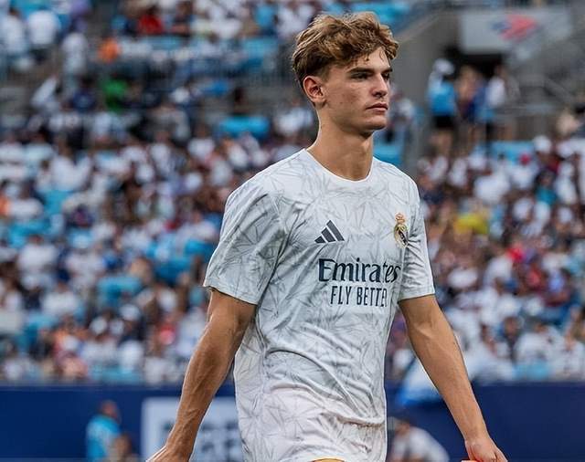 足球生态的 足球生态的