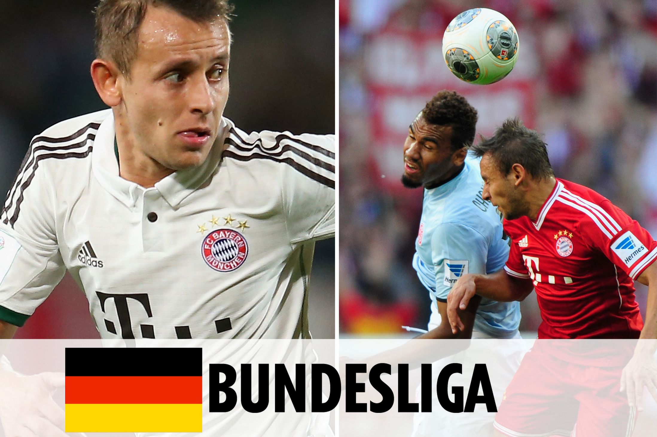 各大品牌对 各大品牌对